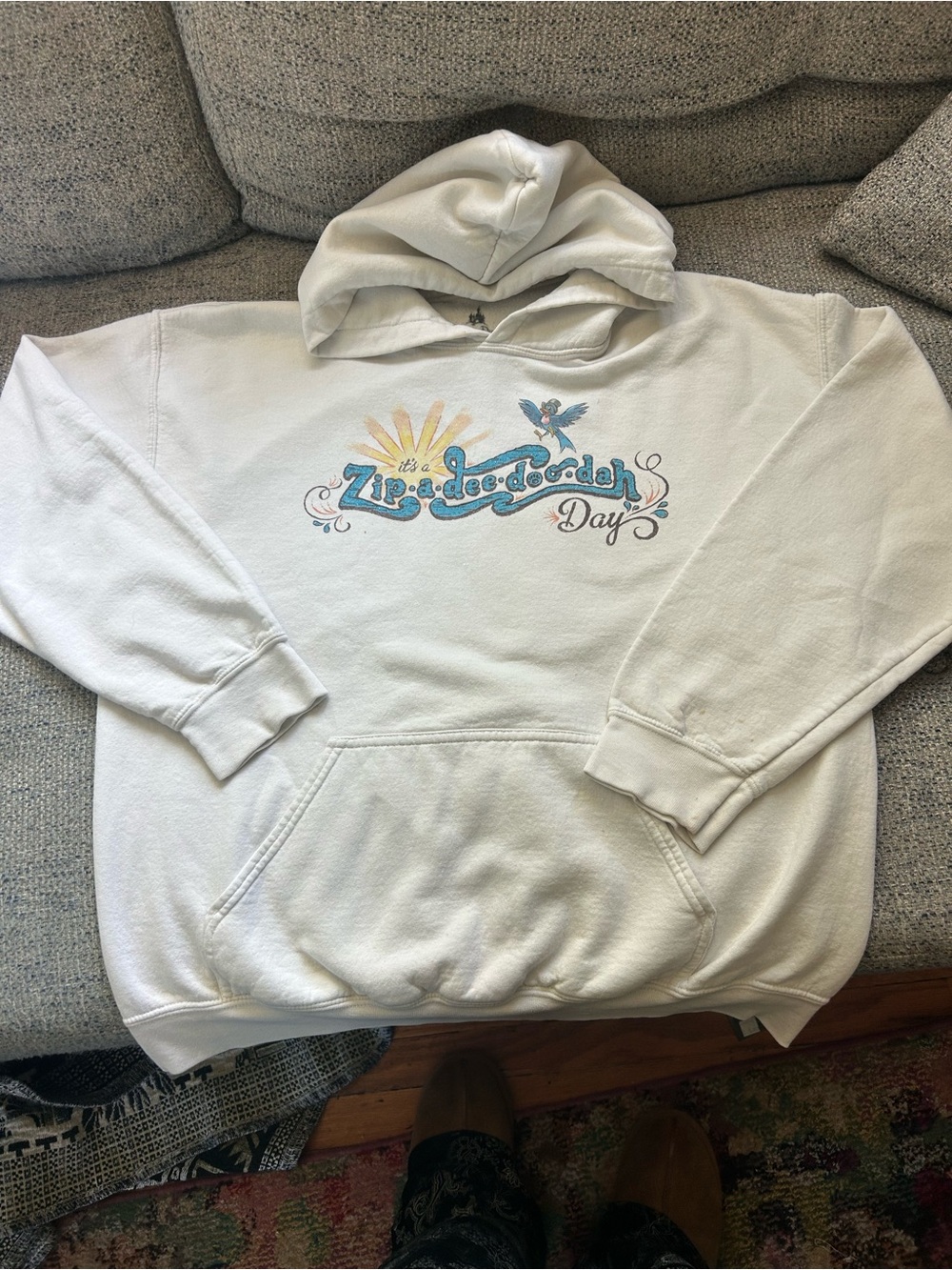 Vintage Disney Parks Splash Mountain Hoodie